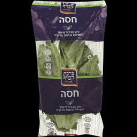 חסה ערבית כשר יחידה
